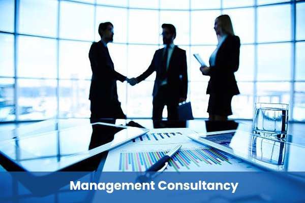 Management-Consultancy